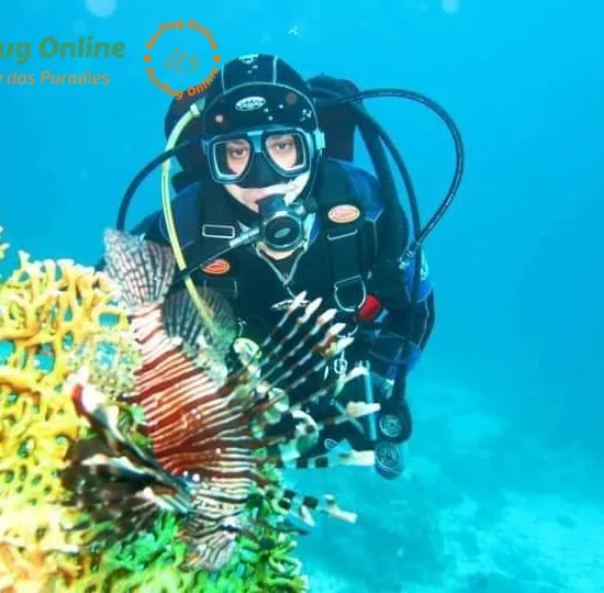 Sharm El Naga schnorcheln, tolle Unterwasserwelt