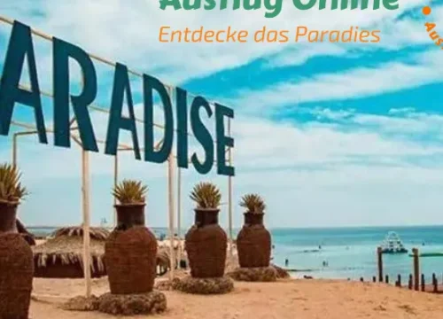 Paradise Insel, Schnorchelausflug