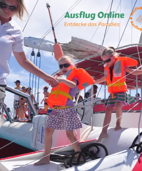 Ocean Diva Katamaran El Gouna 1/2 Tag