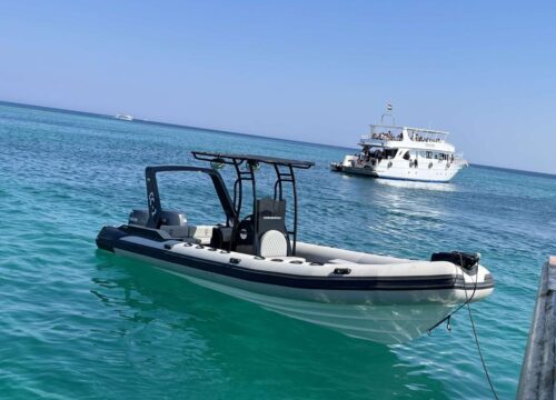Private Delfin-Tour in Hurghada mit Schnellboot