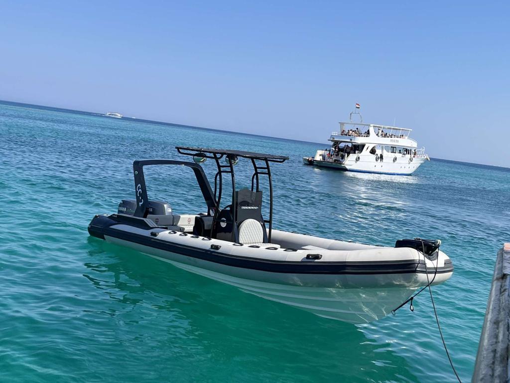 Private Delfin-Tour in Hurghada mit Schnellboot