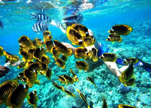 Hurghada mit Kindern – Die besten Familienausflüge 2026