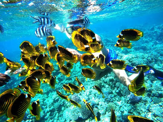Familie mit Kindern bei einem Ausflug in Hurghada am Roten Meer