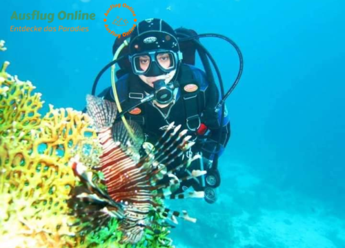 Sharm El Naga schnorcheln, tolle Unterwasserwelt