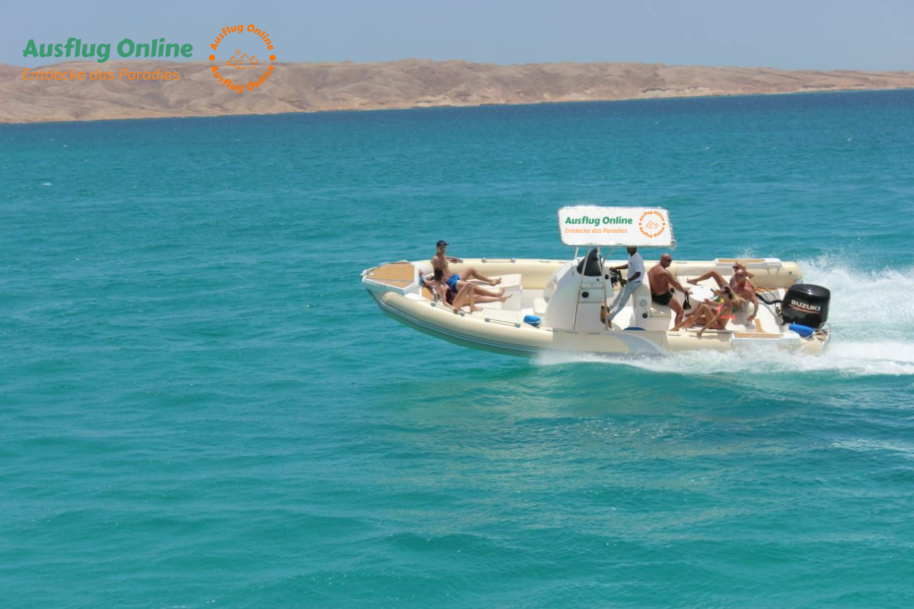 Delfinausflug mit privatem Schnellboot und Schnorcheln