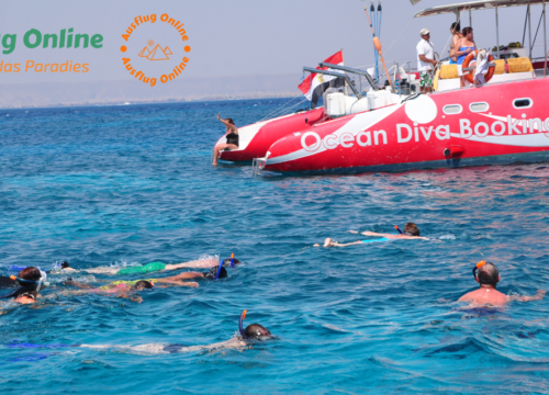 Ocean Diva Katamaran El Gouna | Schnorcheln & Delfintour