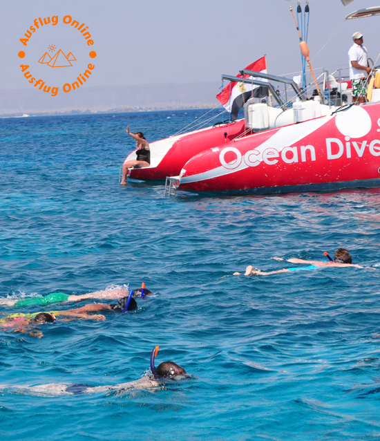 Ocean Diva Katamaran El Gouna | Schnorcheln & Delfintour
