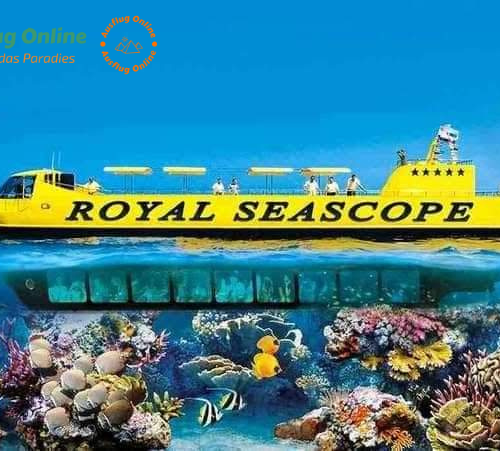 Eine Fahrt mit dem "Royal Sea Scope" ist eine unterhaltsame und informative Möglichkeit, die Schönheit und Vielfalt der Unterwasserwelt des Roten Meeres zu erleben, ohne dabei nass zu werden. Es ist eine Aktivität, die für alle Altersgruppen geeignet ist und einen unvergesslichen Einblick in die faszinierende Welt unter der Meeresoberfläche bietet.