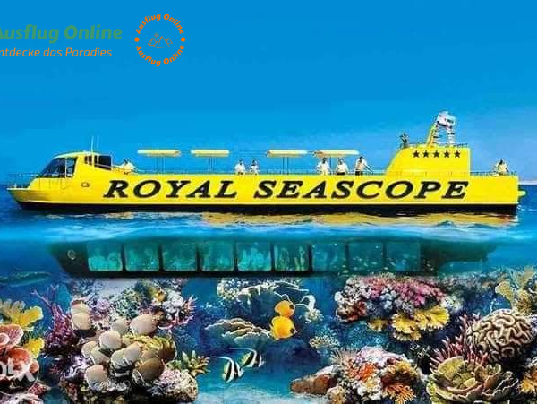 Eine Fahrt mit dem "Royal Sea Scope" ist eine unterhaltsame und informative Möglichkeit, die Schönheit und Vielfalt der Unterwasserwelt des Roten Meeres zu erleben, ohne dabei nass zu werden. Es ist eine Aktivität, die für alle Altersgruppen geeignet ist und einen unvergesslichen Einblick in die faszinierende Welt unter der Meeresoberfläche bietet.