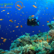 Hurghada Ausflüge