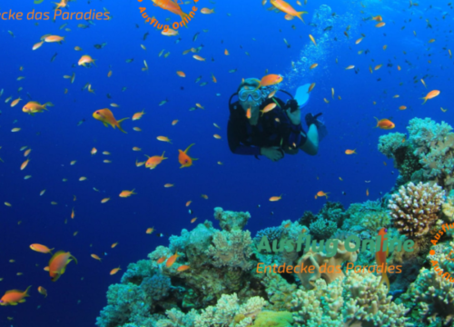 Beste Ausflüge in Hurghada – Top Touren 2026