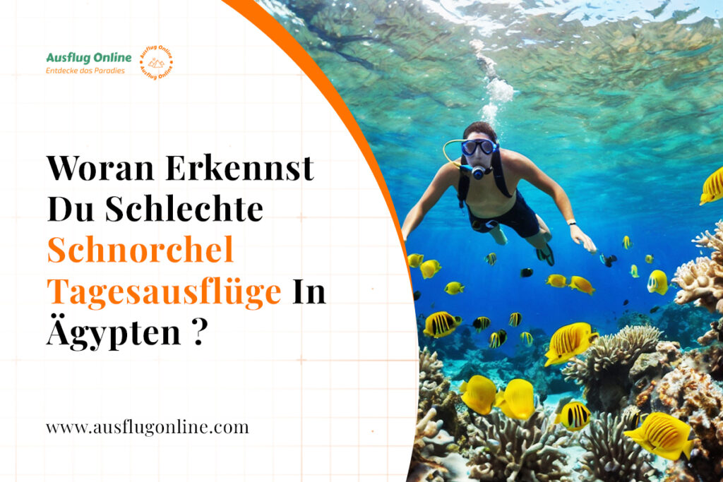 Woran erkennst du schlechte Schnorchel Tagesausflüge in Ägypten ?