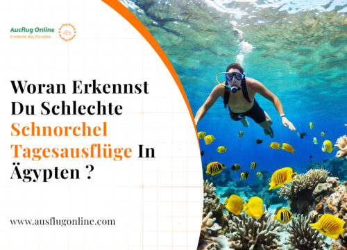Welche Erlebnisse dürfen Sie bei Safari Ausflüge Ägypten nicht verpassen?