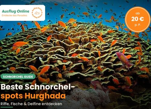 Beste Schnorchelspots ab Hurghada im Überblick