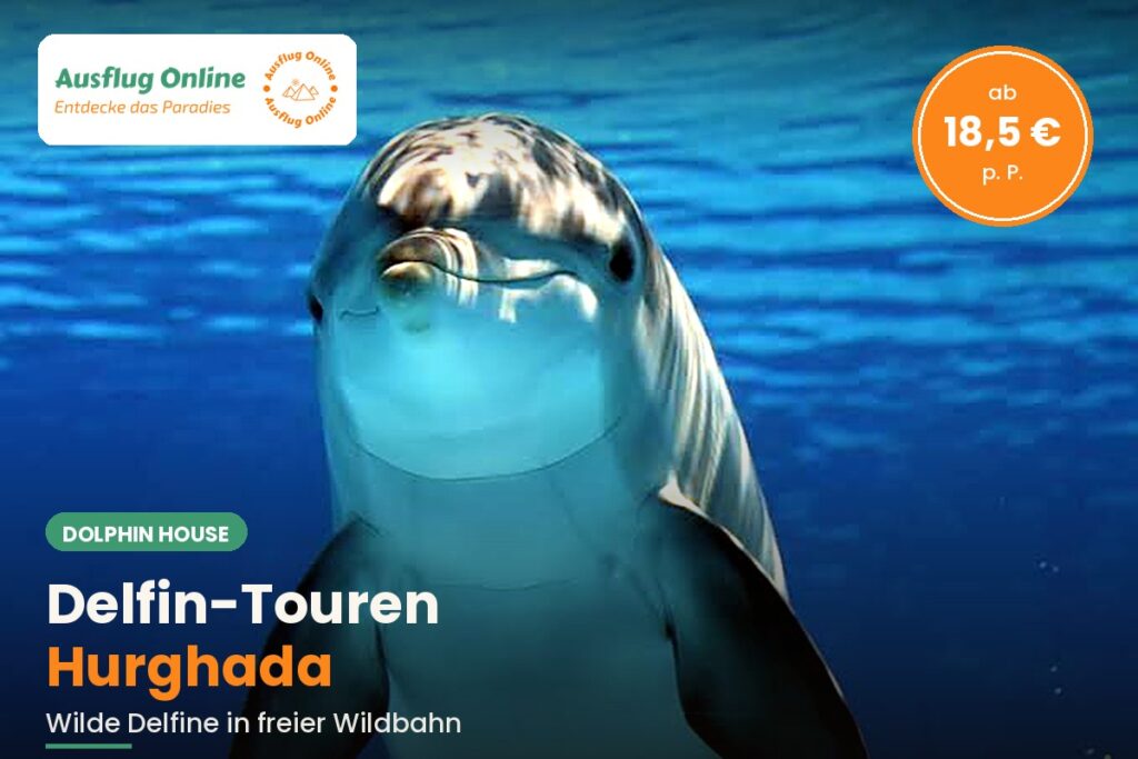 Delfin-Touren Hurghada: Wo Delfine wirklich leben