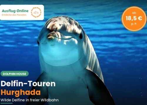 Delfin-Touren Hurghada: Wo Delfine wirklich leben