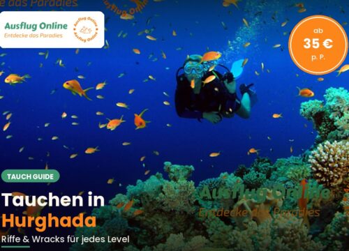 Tauchen in Hurghada: Die besten Spots 2026